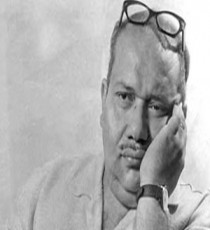 صلاح جاهين